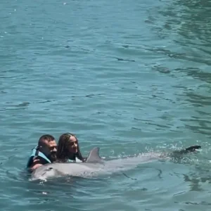 Dolphin Cove Montego Bay