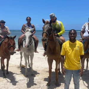 Horseback Riding Tour
